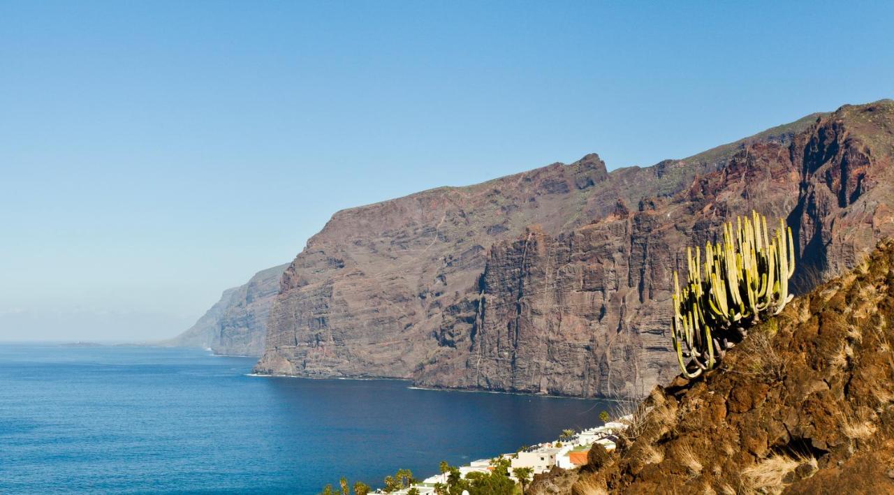 Apartament Cactus Cosy Loft, Wifi & Gym Santa Cruz de Tenerife